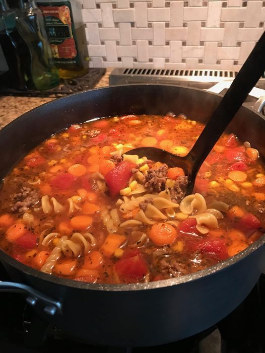 VEGETABLE BEEF NOODLE SOUP