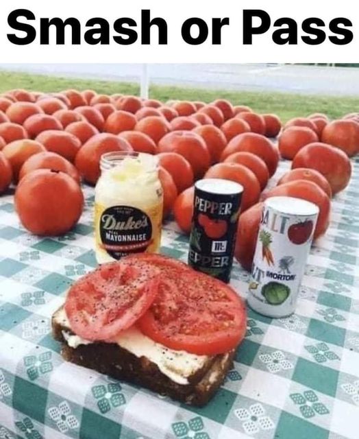 classic tomato sandwich