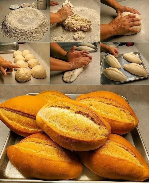 Homemade bread rolls