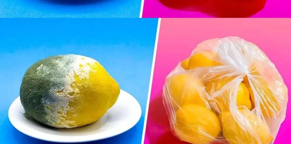 The trick to storing lemons for 3 months or more and keeping them from rotting