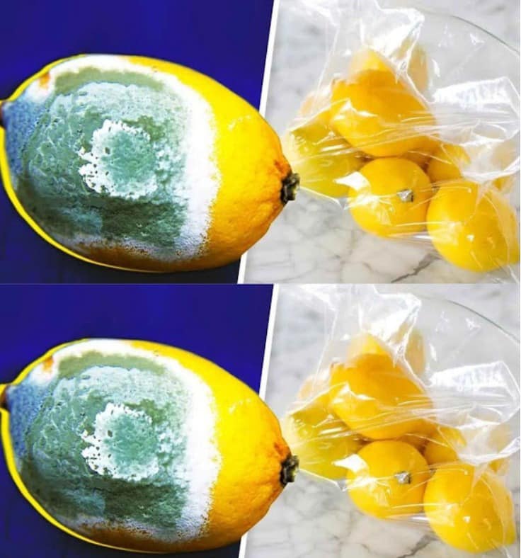 How to Store Lemons Longer to Prevent Them from Spoiling? 4 Simple Tricks