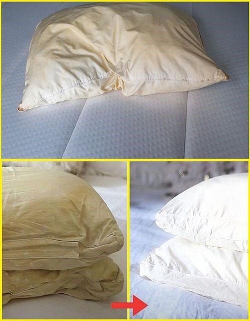 Here’s how to clean dirty pillows from bed to leave them white and sweet scent…