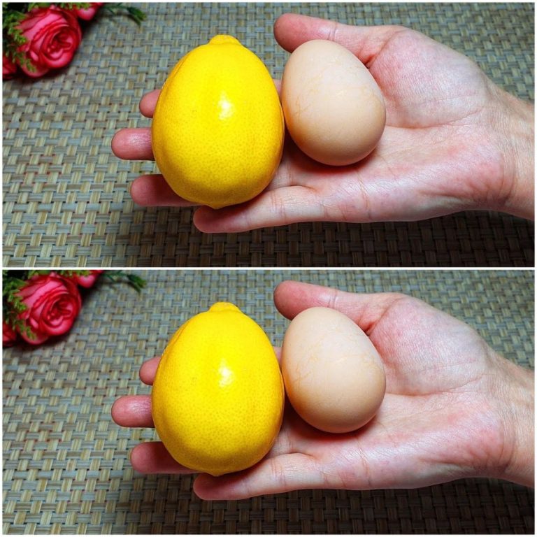 The Golden Duo: 1 Lemon and 1 Egg – A Secret Recipe Unveiled