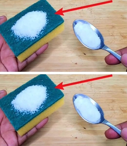 Sponge for washing dishes, add salt before use: the secret of housewives