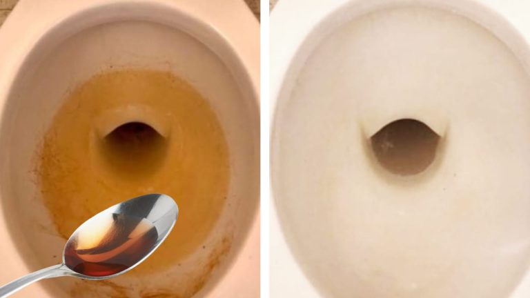 VERY WHITE TOILET BOWL, NO VINEGAR OR BICARBONATE NEEDED: THIS INGREDIENT IS ENOUGH