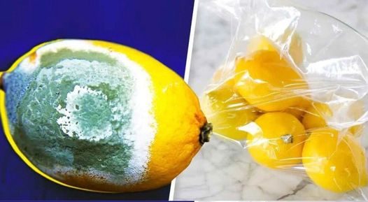 “How do you store lemons longer so they don’t spoil? 4 simple tricks.”