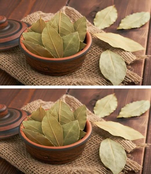 Bay leaves: just 3 are enough to perfume your entire house. Just do that!