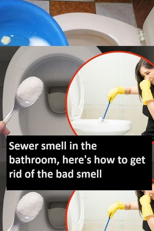 Sewer smell in the bathroom, here’s how to get rid of the bad smell