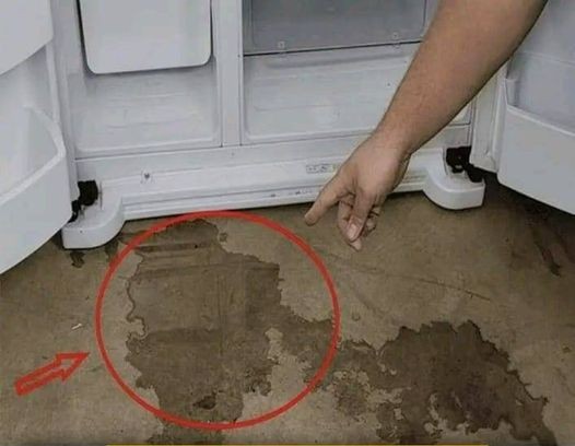 Refrigerator Leaking and Taking a Long Time to Cool Down: Do It Immediately and You Won’t Need to Call the Technician