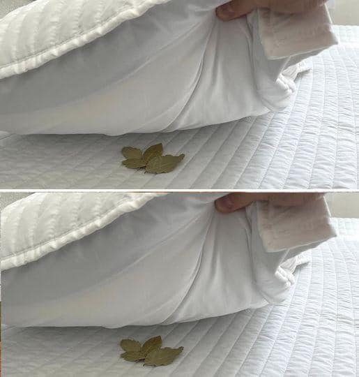 Bay leaves under the pillow, that’s why you should always do it before sleeping