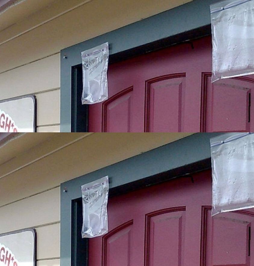 Many People Are Hanging Bags Of Water Above Their Doors To Deter Bugs