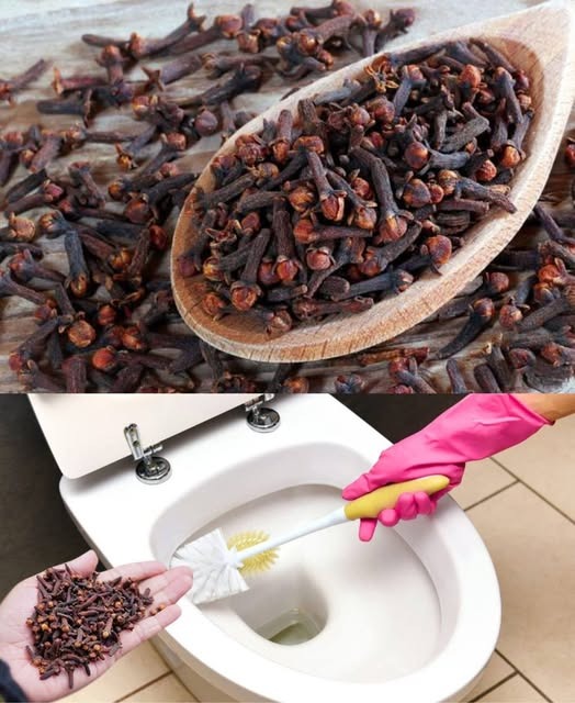 How to use cloves to eliminate urine odors in your bathroom?