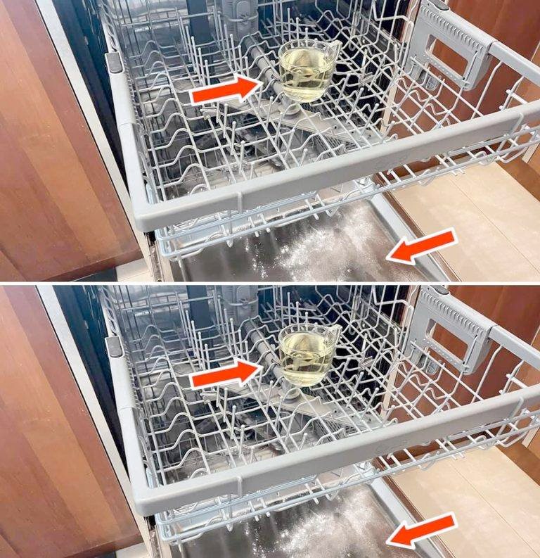 How to degrease, disinfect and perfume the dishwasher with the glass method