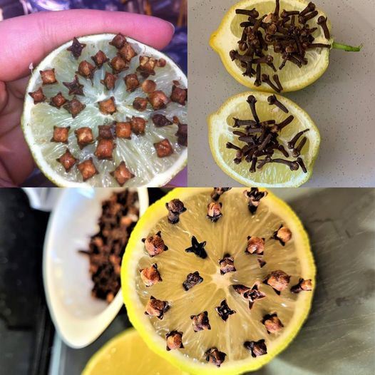 Create an Effective Fruit Fly Trap with Lemon and Cloves