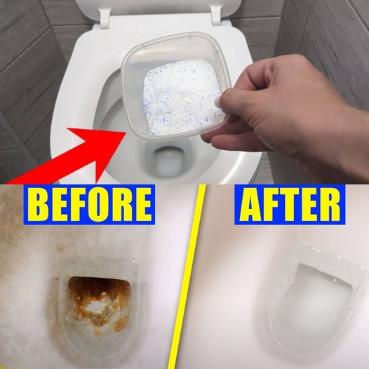 Put This in Your Toilet Right Now and See What Happens: You Won’t Believe the Results