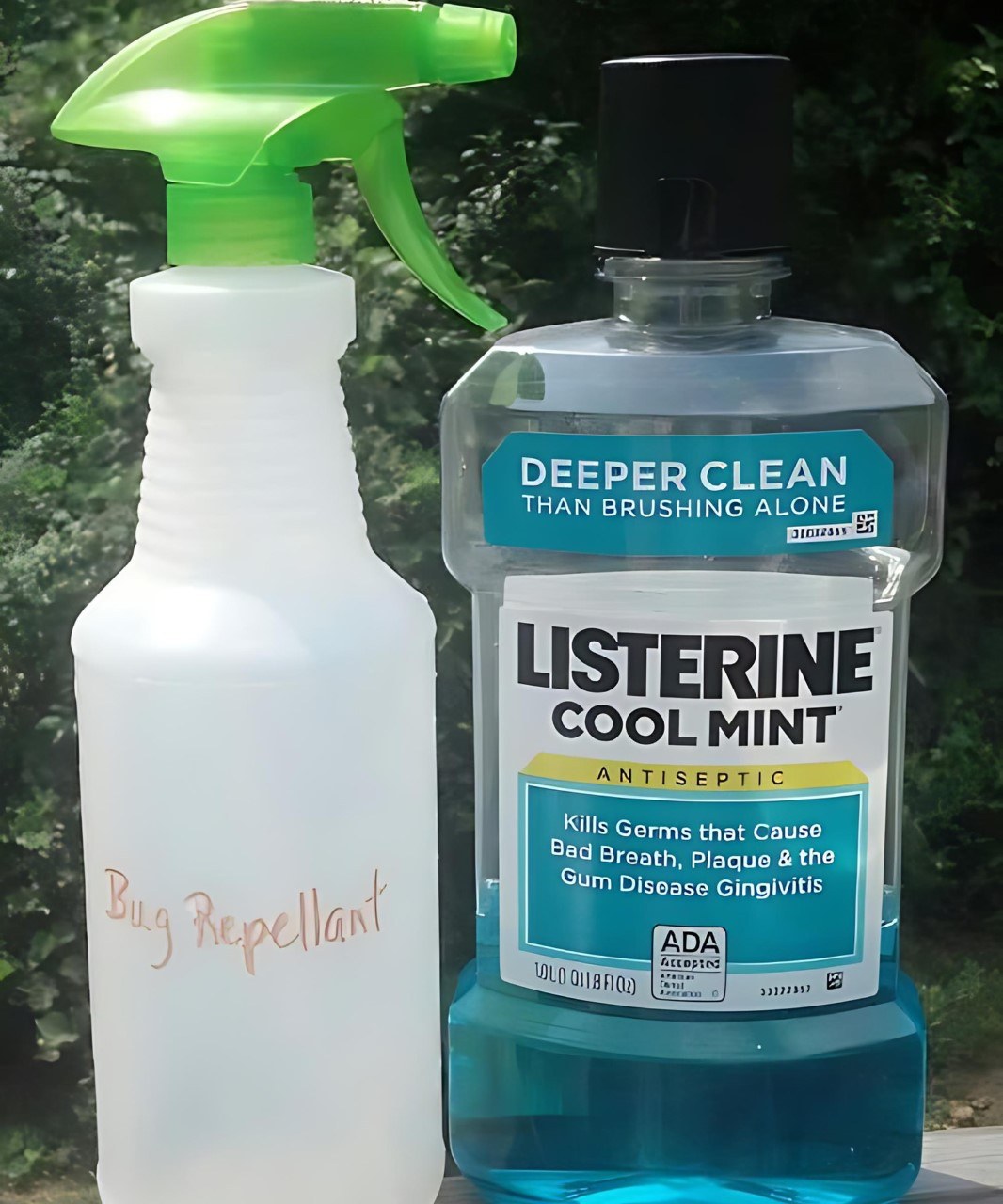 Non-Toxic Mosquito Spray Using Mouthwash