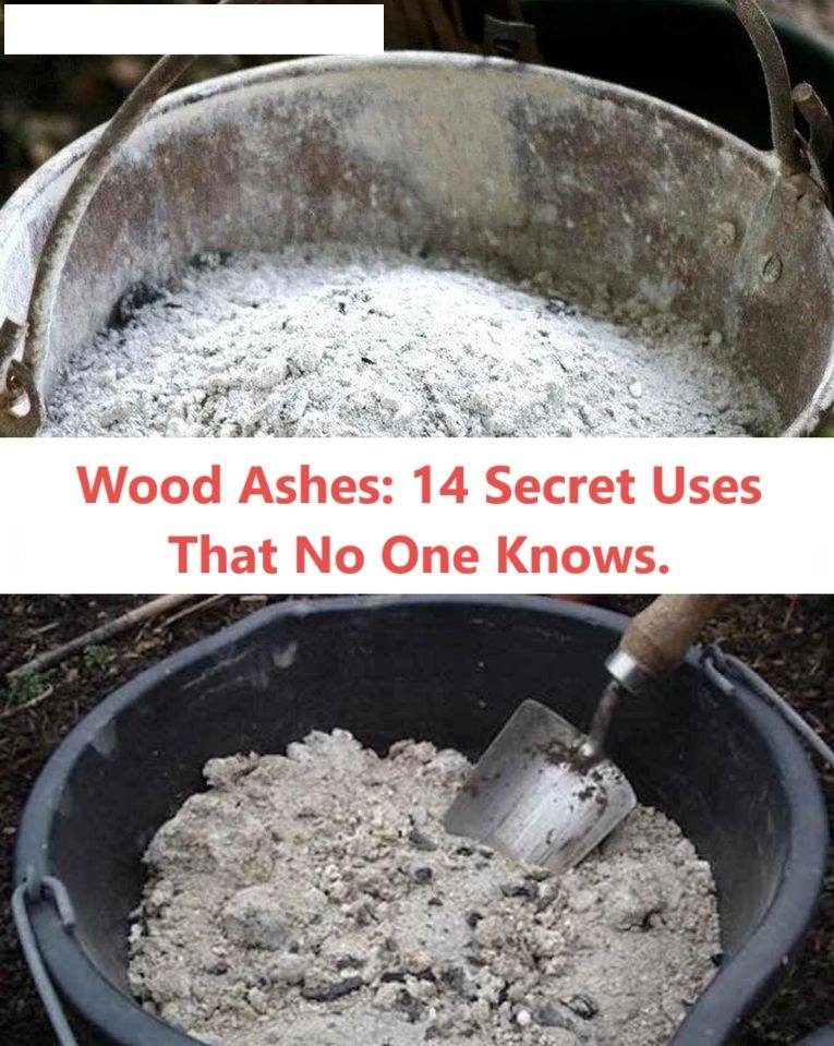 Wood Ashes: 14 Secret Uses That No One Knows