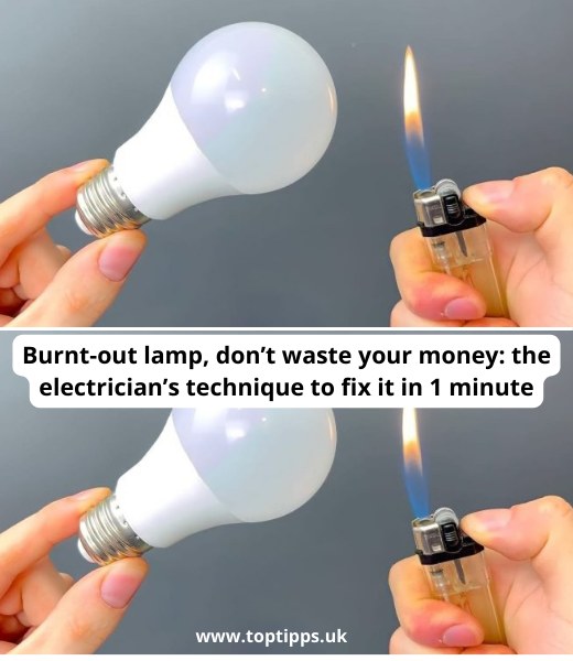 Burnt-out lamp, don’t waste your money: the electrician’s technique to fix it in 1 minute