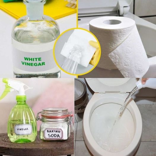 Vinegar in the toilet solves an annoying and very common problem: try it now