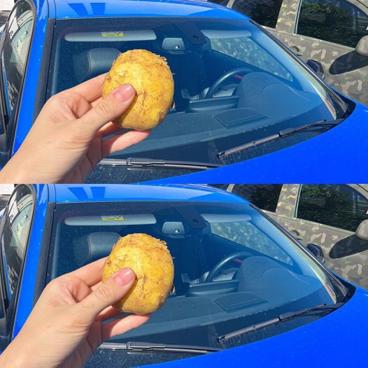 The Surprising Lifesaver: A Potato in Your Car