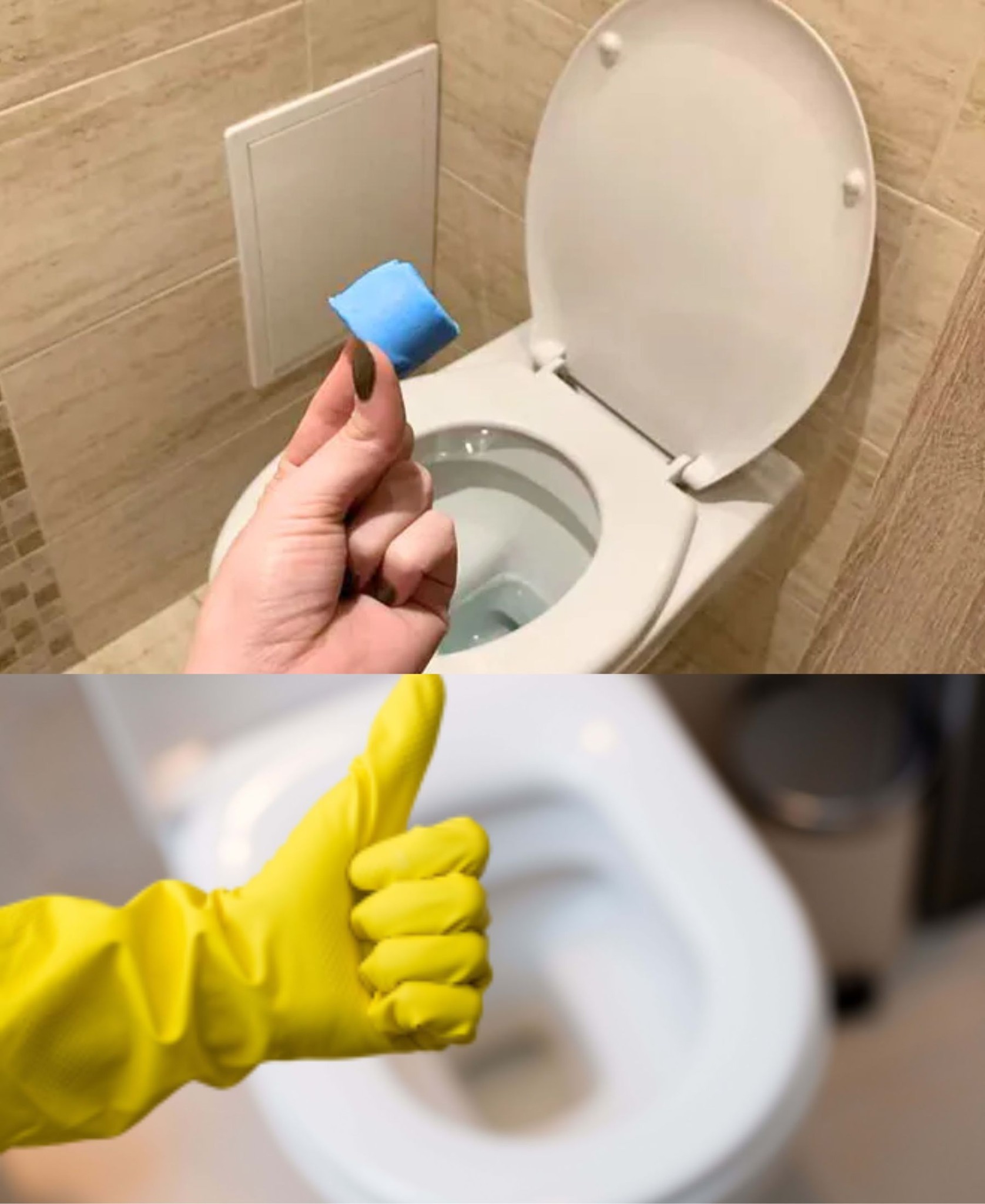 Mother-in-law is coming: these cleaning cubes save me when I need to quickly freshen up the toilet