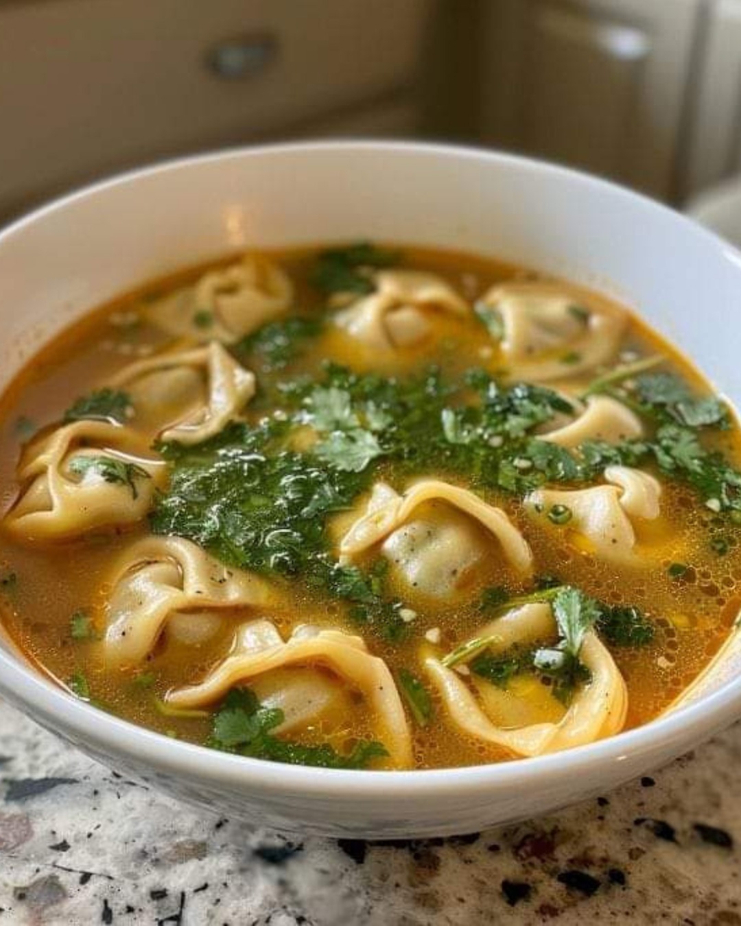 Wonton Soup Recipe