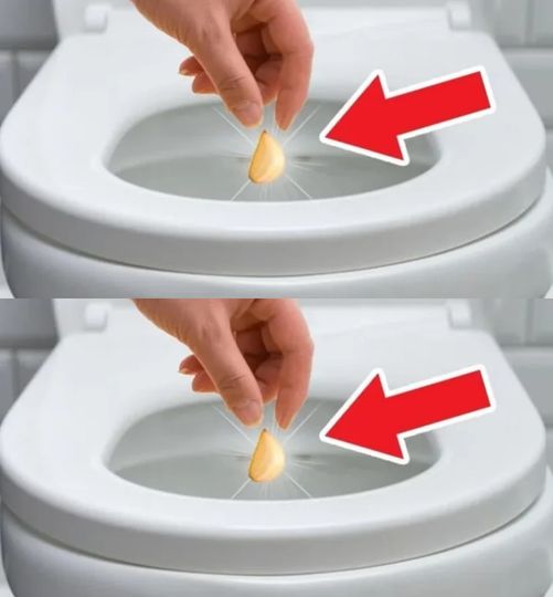 Flush a clove of garlic down your toilet: Grandma’s trick that solves this horrible problem for you. Incredible results the next day!