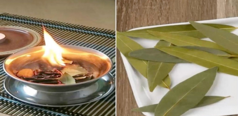 Here’s Why You Should Burn Bay Leaves in Your Home