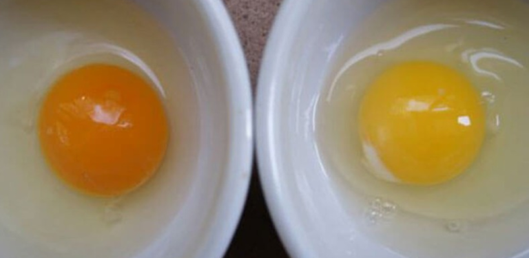 Here’s What Happens To Your Body When You Eat Two Eggs A Day. I Never Thought About #3… Amazing!