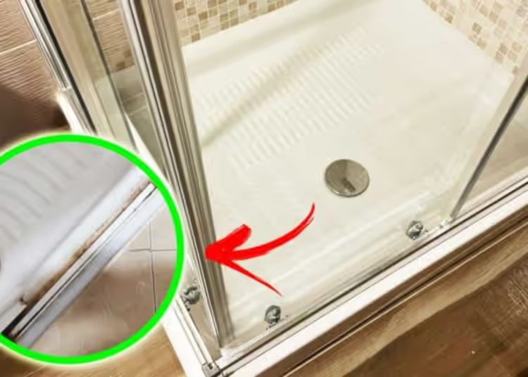 The perfect tips for removing mold from the shower