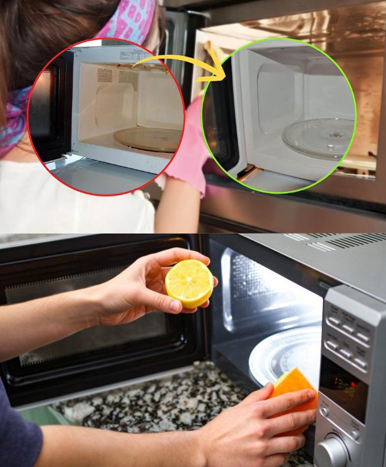 MICROWAVE, FEW KNOW HOW TO CLEAN IT: JUST A CLOTH AND 1 INGREDIENT