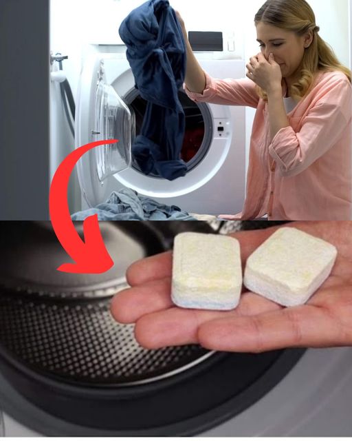 If You Do This, All The Dirt Will Come Out Of The Washing Machine: Goodbye To Unpleasant Laundry Odors