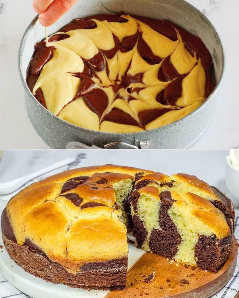 Colorful cake: the recipe for the delicious and spectacular dessert with cocoa and vanilla