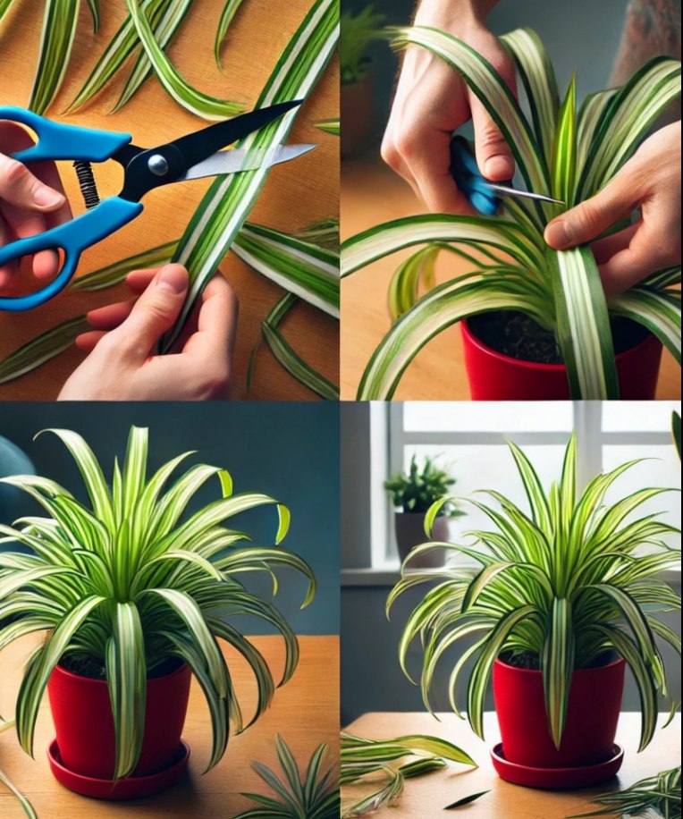 If You Have This Plant, You’re Lucky. Here’s Why It’s So Worth It!