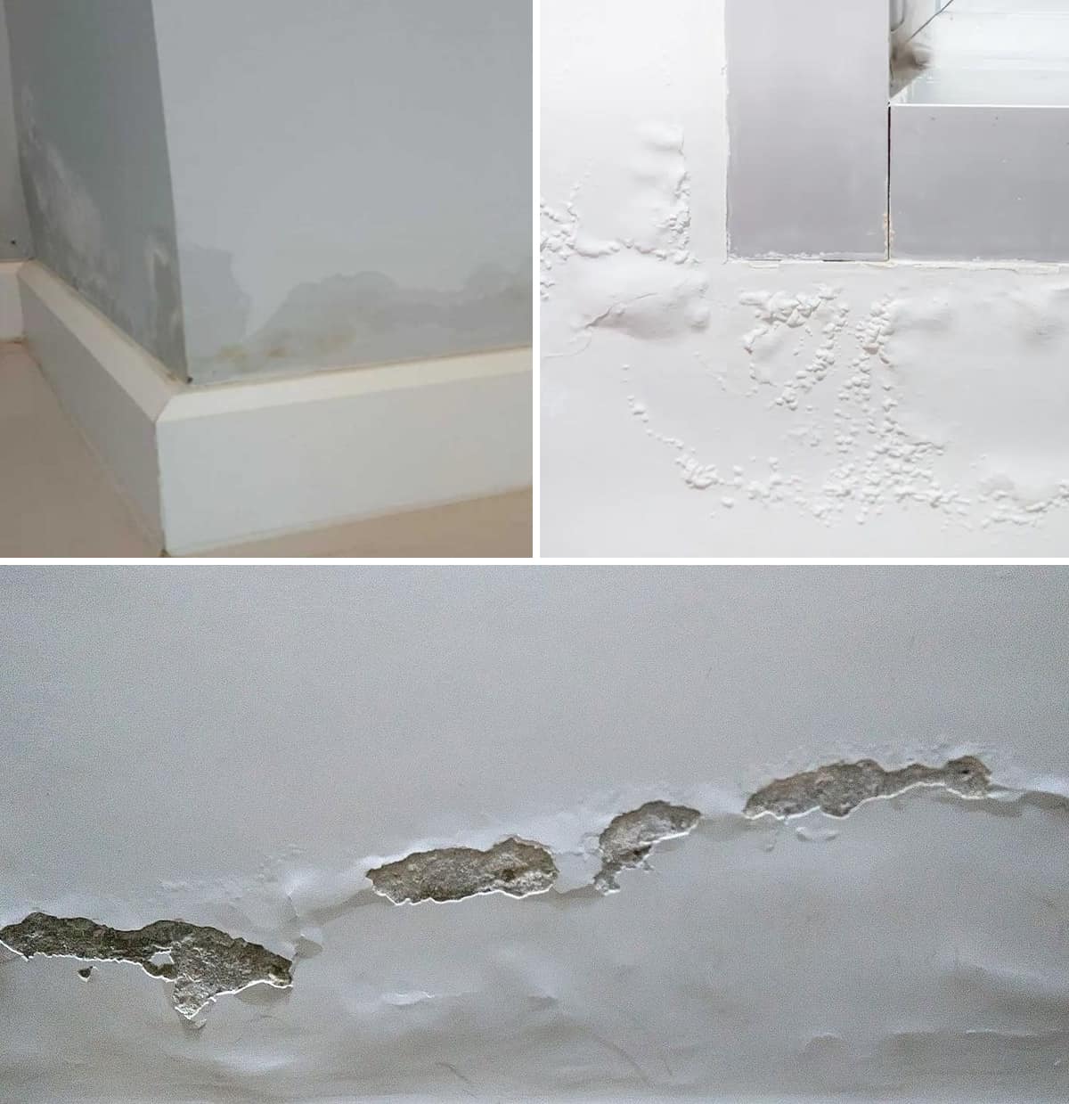 Rising Damp: The Easy and Economical DIY Method to Fix Walls Forever